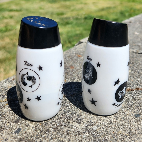 Vintage 1970s Zodiac Milk Glass Salt Pepper Shakers Astrological Signs Celestial - Picture 5 of 6